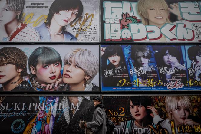Les façade de panneaux publicitaires pour des « clubs d’hôtes » dans le quartier de Kabukicho, à Tokyo, le 5 février 2025.