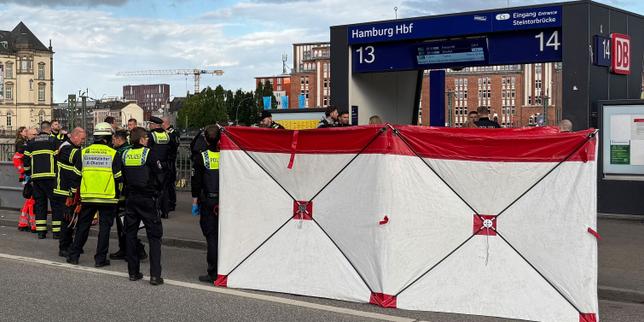 Germany: 12 people injured in knife attack at Hamburg train station