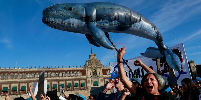 In Mexico, a major liquefied natural gas export project raises environmental concerns
