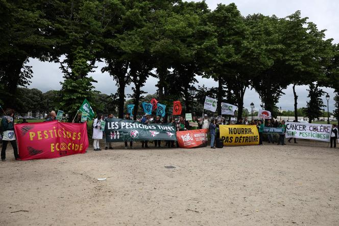 Des opposants à la proposition de loi Duplomb sur l’esplanade des Invalides, à Paris, le 27 mai 2025.