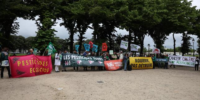 « On s’est pris une baffe » : au lendemain du rejet stratégique de la proposition de loi Duplomb, les opposants veulent se faire entendre