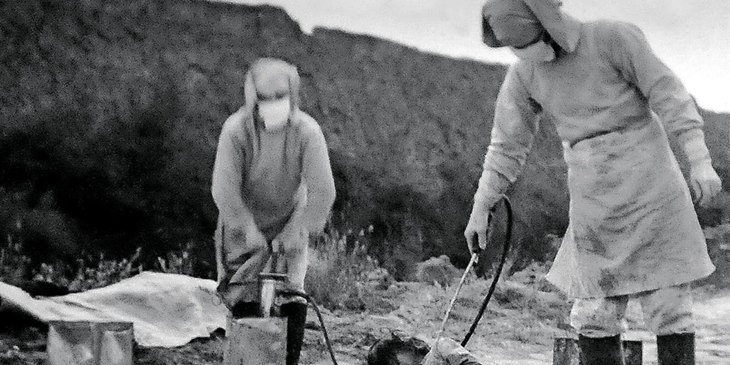 Au Japon, des archives révèlent l’ampleur d’expérimentations sur des humains entre 1938 et 1945