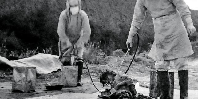 In Japan, newly released archives reveal the scale of human experimentation between 1938 and 1945