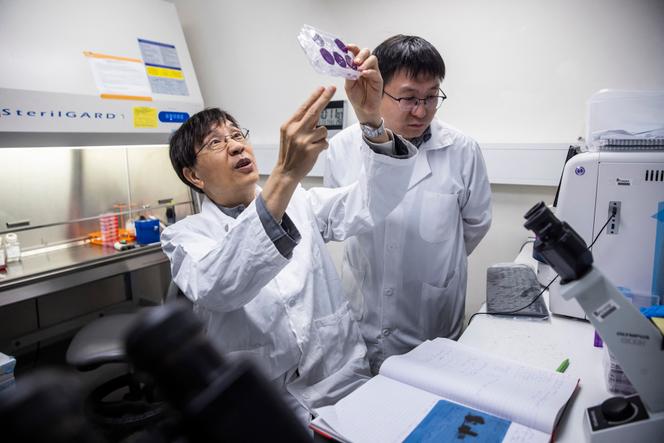 Un microbiologiste dans un laboratoire de l’hôpital Queen Mary de Hongkong spécialisé dans la lutte contre les menaces sanitaires mondiales, notamment le virus du SRAS. Le 11 juillet 2024 à Hongkong.