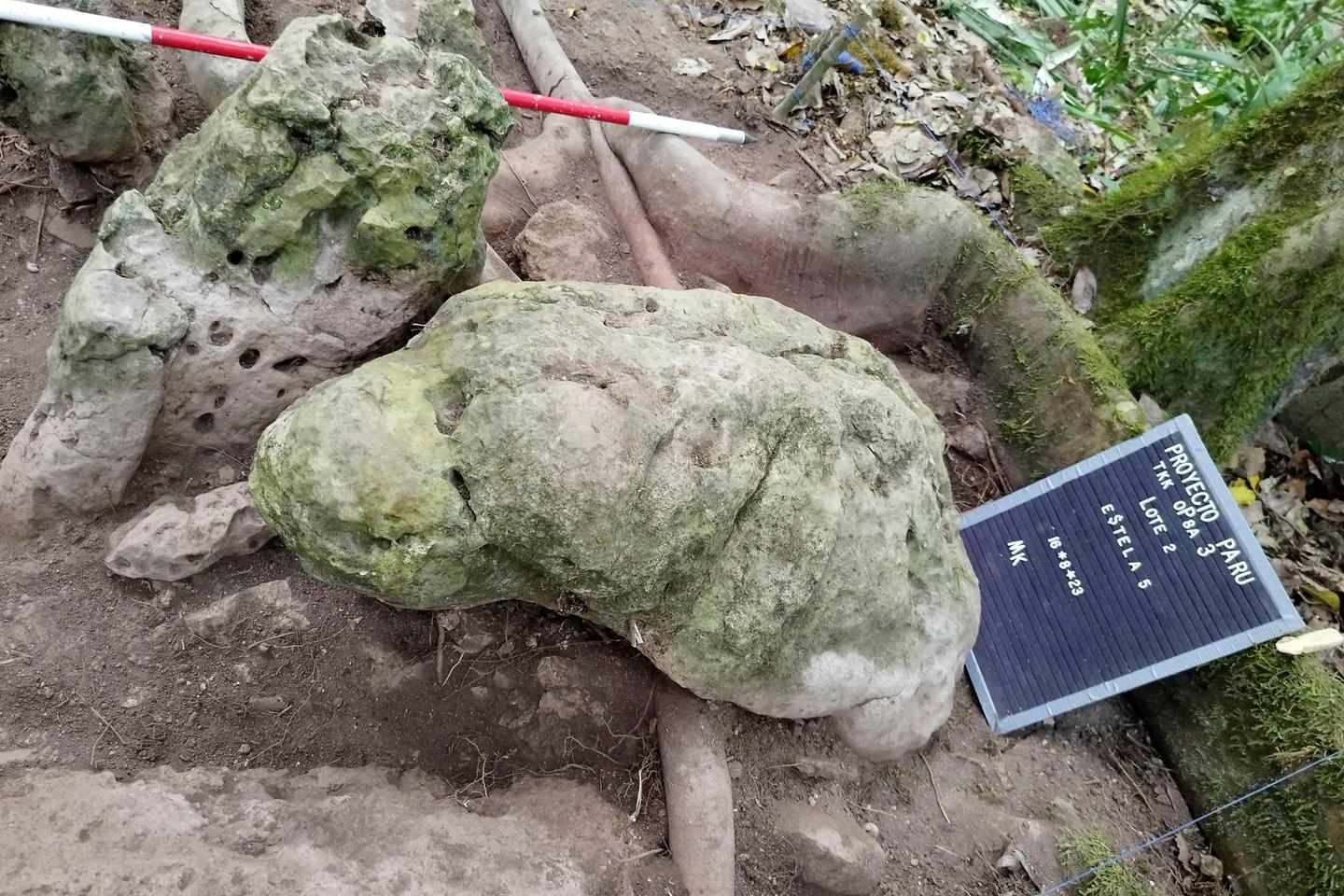 Archaeologists unearth remains of 3000 year-old-Mayan city in Guatemala
