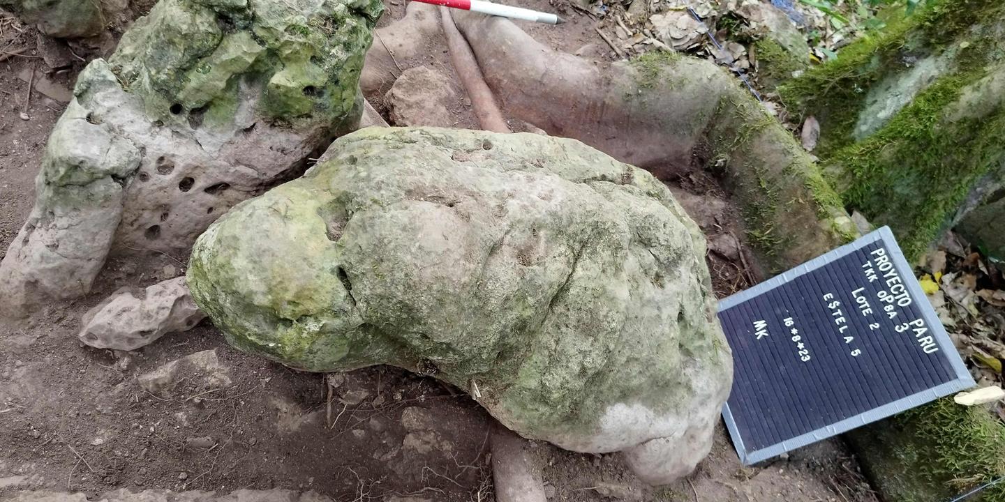 Archaeologists unearth remains of 3,000-year-old Mayan city in Guatemala