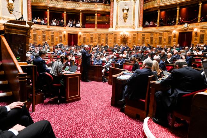 Le premier ministre, François Bayrou, au Sénat, à Paris, le 28 mai 2025.