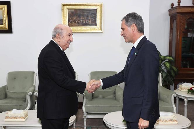 Abdelmadjid Tebboune et Rodolphe Saadé, au palais présidentiel d’Alger, le 2 juin 2025.