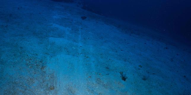 Protecting one-third of land and ocean by 2030, a crucial biodiversity goal still far from achieved