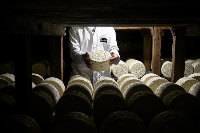 Vincent Combes, maître fromager, dans les caves d’affinage du roquefort Le Vieux Berger à Roquefort-sur-Soulzon (Aveyron), le 11 mars 2025.