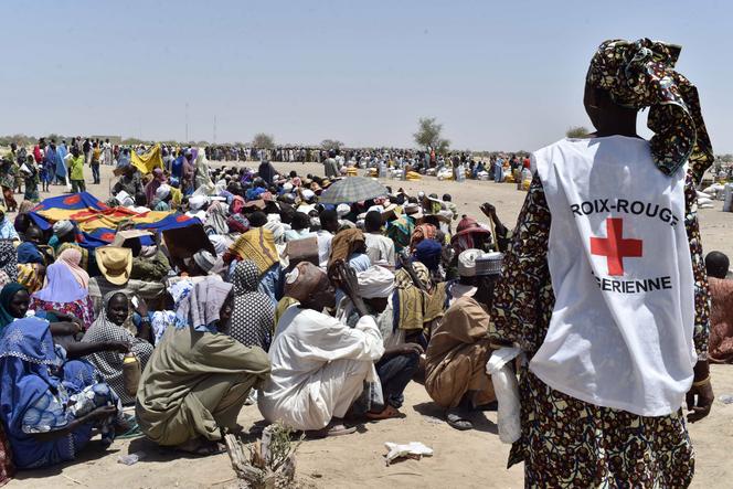Lors d’une distribution de nourriture à Dosso (Niger) par la Croix-Rouge, en mai 2015.