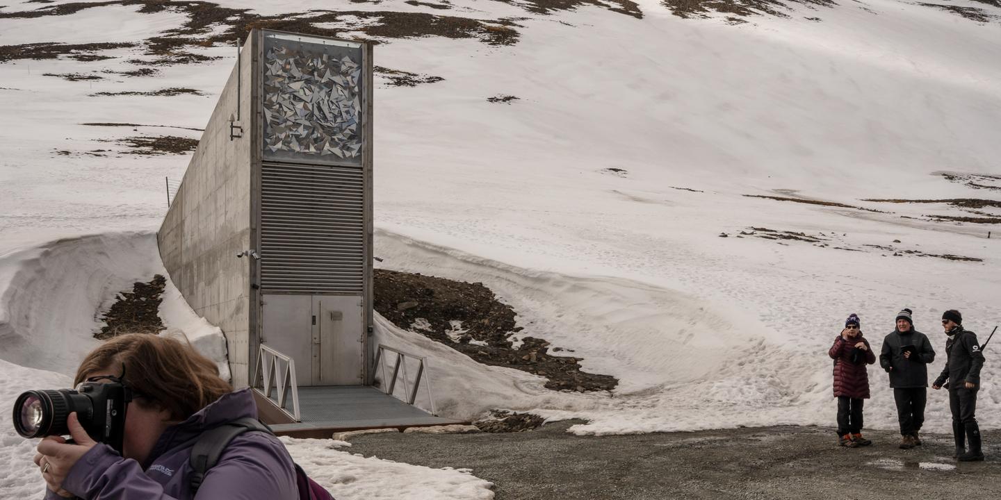 Au cœur de l’Arctique, l’ arche de Noé du végétal  accueille de nouvelles semences