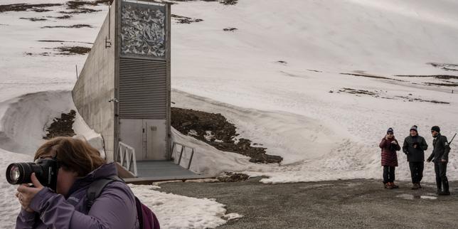 At the heart of the Arctic, the 'Noah's Ark for plants' welcomes new seeds