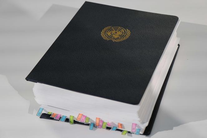 Le traité BBNJ, l’accord conclu dans le cadre de la Convention des Nations unies sur le droit de la mer relatif à la conservation et à l’utilisation durable de la diversité biologique marine dans les zones situées au-delà de la juridiction nationale, à Nice, le 9 juin 2025.