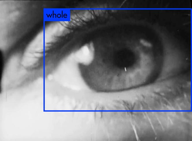 Image extraite du film « What Do You See, YOLO9000 ? » (2019), d’Estampa.