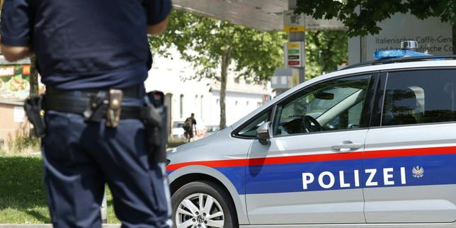 Shooting at Austrian school leaves multiple dead, suspected gunman reportedly died