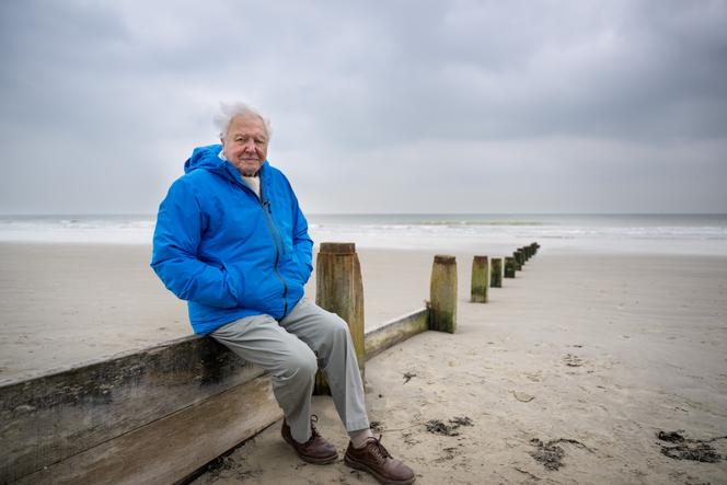 David Attenborough dans le sud de l’Angleterre, image extraite de son documentaire « L’Appel de l’océan ».