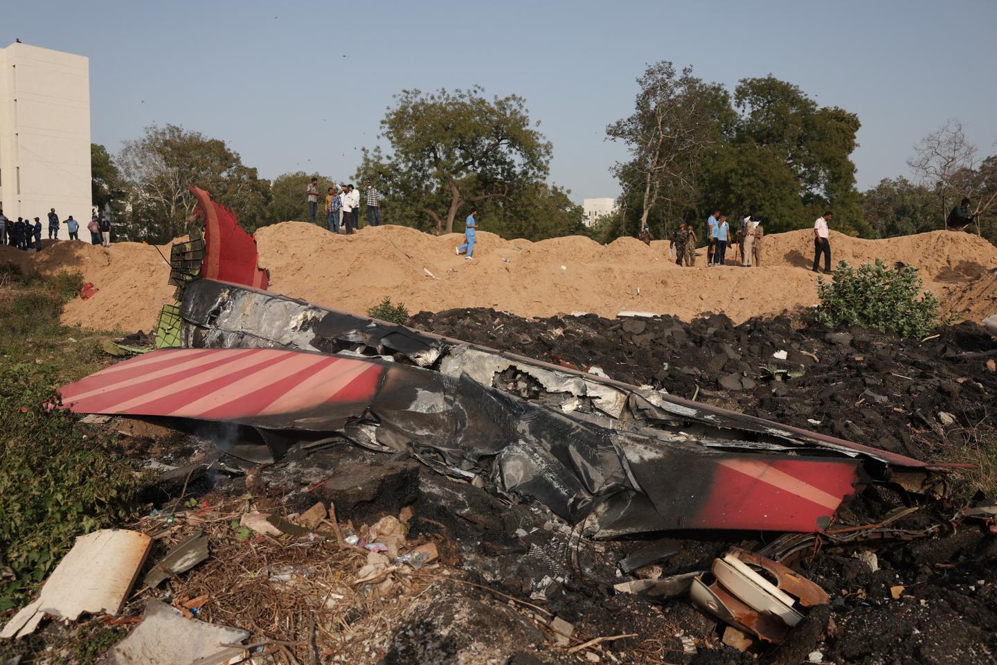 Air India plane crash shakes country's booming aviation market