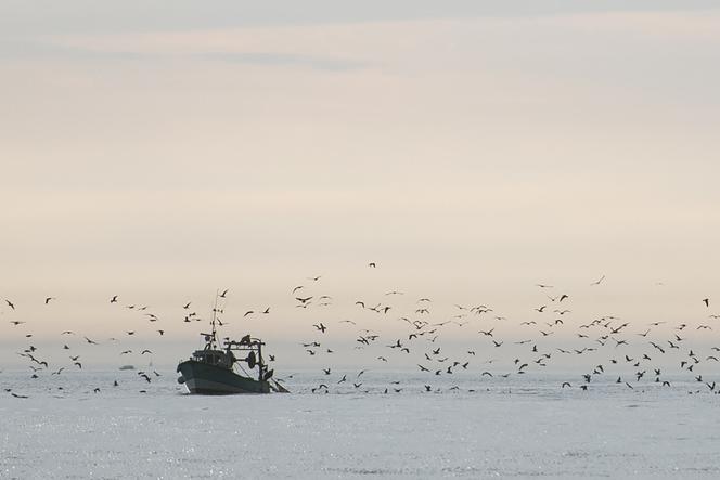 Un chalutier de pêche au large de Saint-Nazaire (Loire-Atlantique), le 19 septembre 2020.