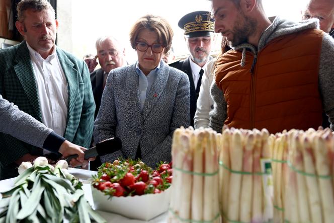 La ministre de l’agriculture, Annie Genevard, visite une ferme bio, à Niederstinzel (Moselle), le 22 mai 2025.