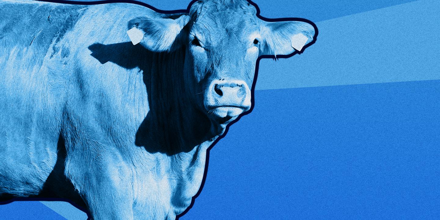 L'invisibilité du revenu agricole, source de la colère paysanne révélée