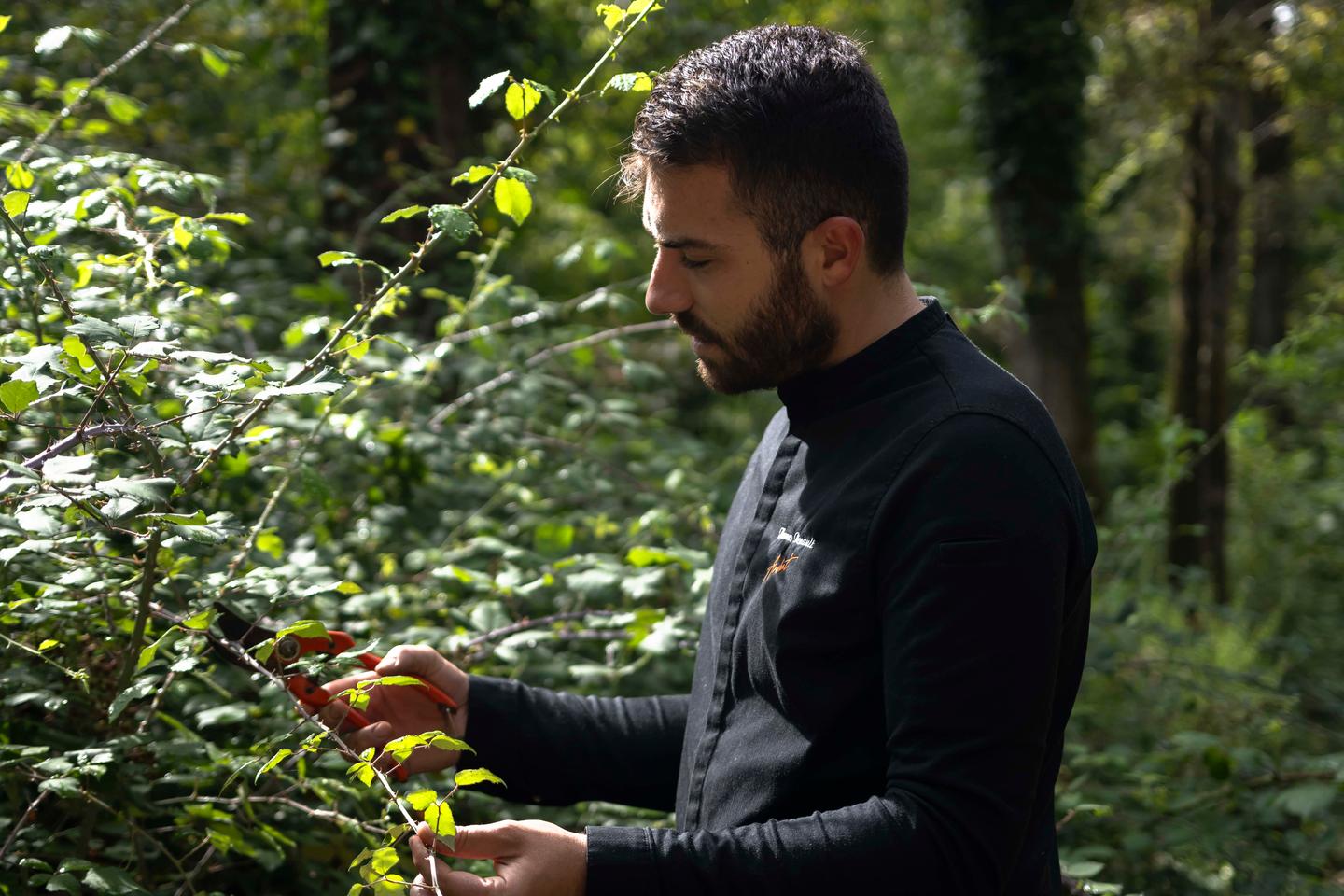 Chef Thomas Besnault's forest inspiration