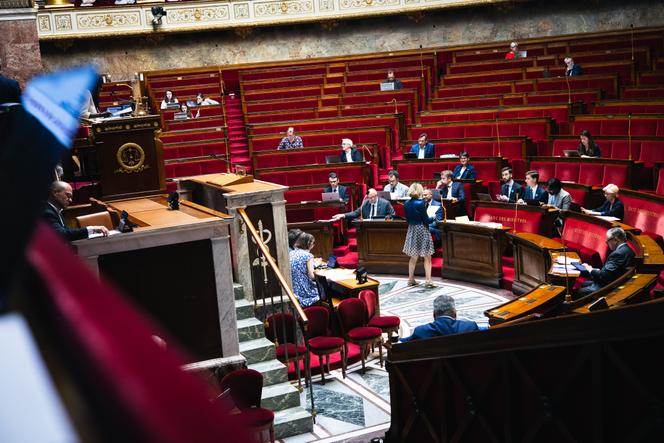Durante o exame do projeto de lei para simplificar a vida econômica, na Assembléia Nacional, em Paris, em 13 de junho de 2025.