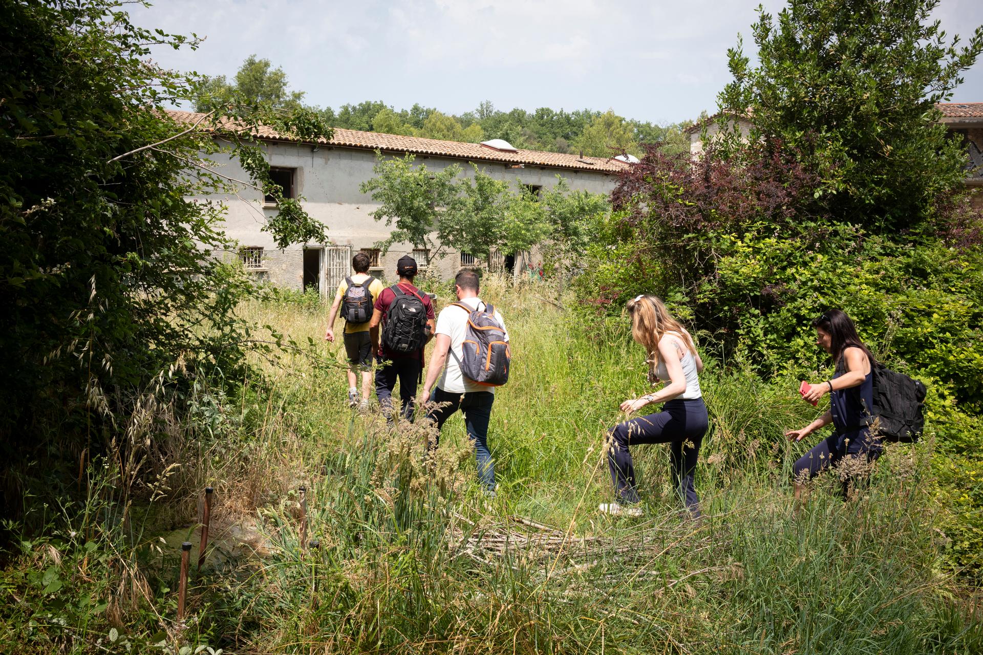 Accès à travers les broussailles à un site abandonné près d’Alès (Gard), le 14 juin 2025. 