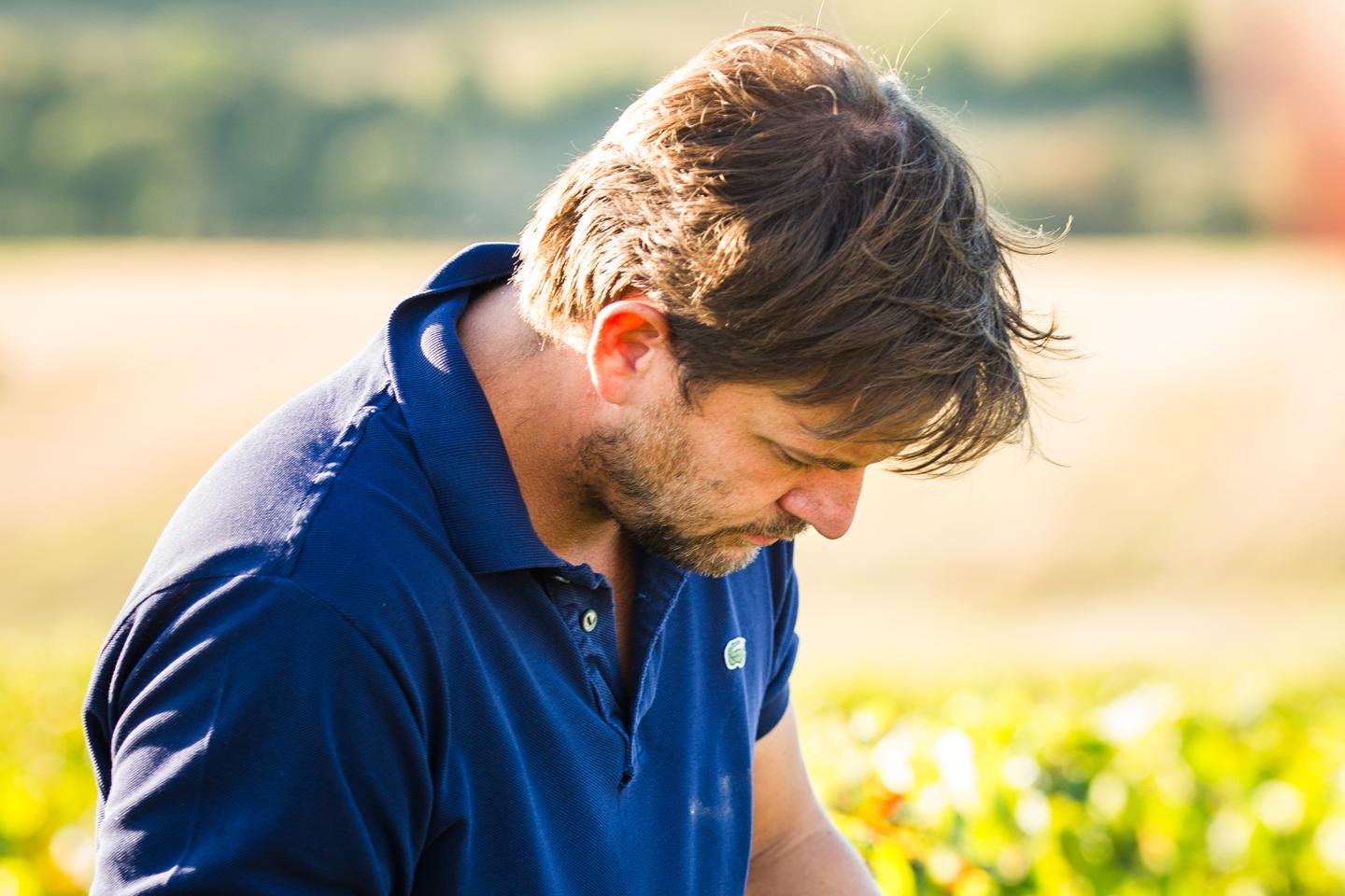 Au Domaine de Reuilly, le pinot gris fait la fierté du Berry