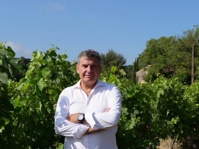 Philippe Tolleret dans une parcelle de vigne, en juin 2024. 