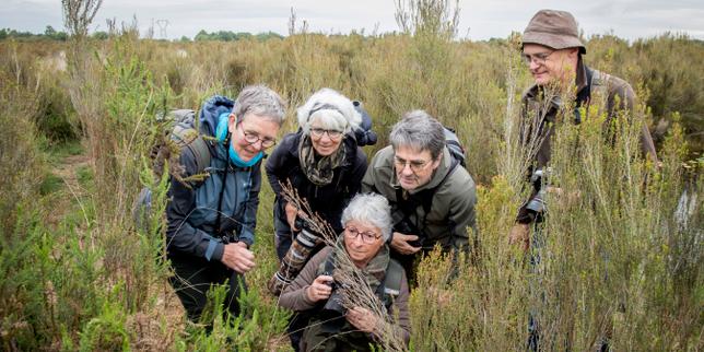 « On fait des safaris dans nos jardins ! » : l’art de saisir l’infiniment petit