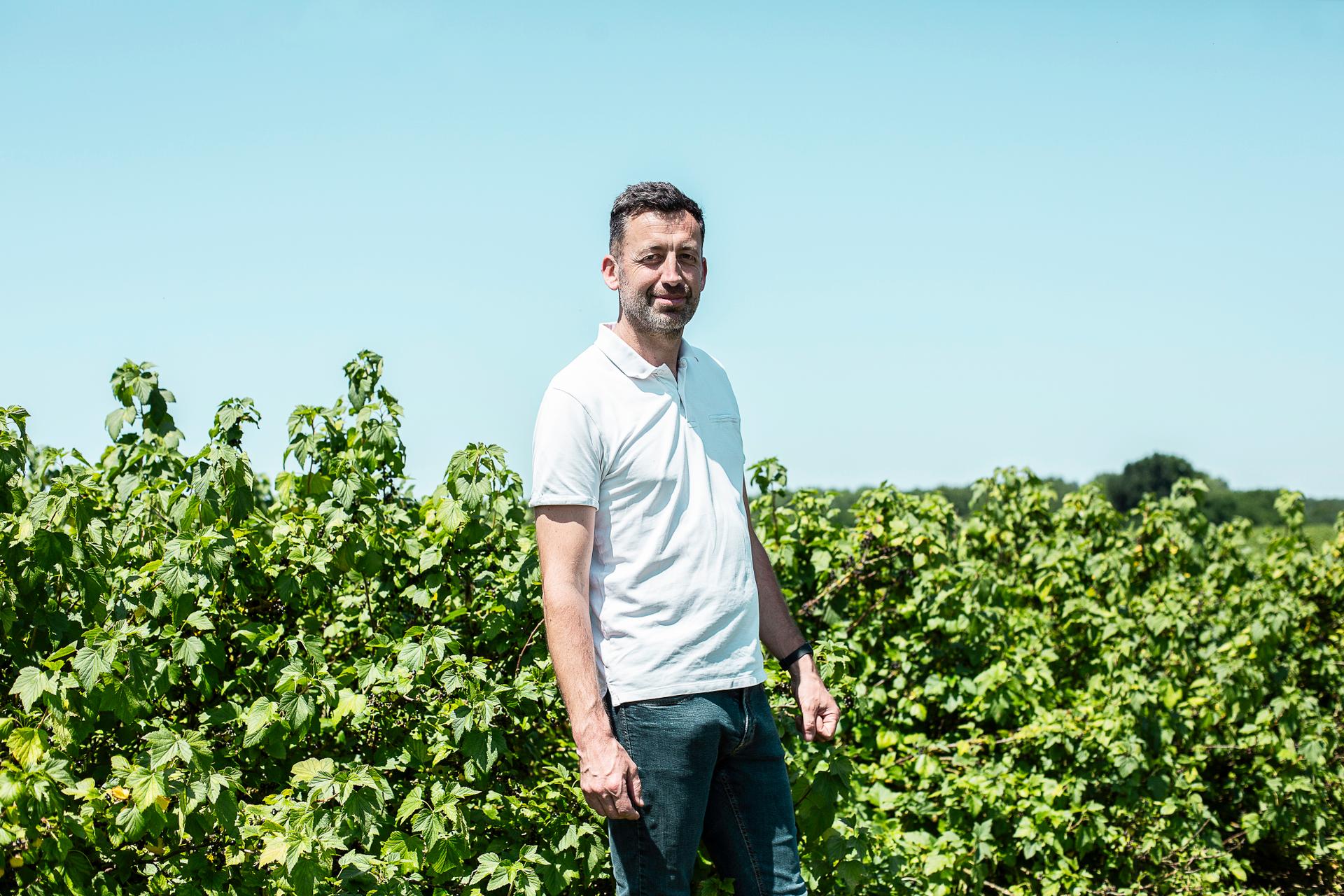 Ludovic Bonnardot, producteur de cassis, à Bonnencontre (Côte-d’Or), le 17 juin 2025.
