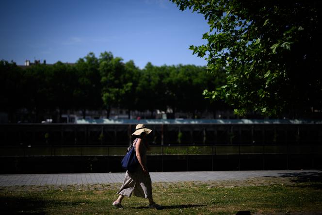 Sur les bords de Loire, à Nantes, jeudi 19 juin 2025.