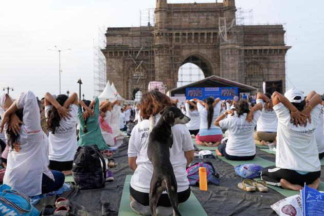 A dog joins a woman practicing yoga in Mumbai, India, on June 21, 2025.