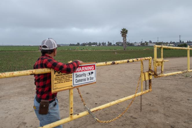 A l’entrée d’un champ de fraises, le portail reste fermé afin de protéger les exploitations agricoles contre les raids de l’ICE, à Oxnard (Californie), le 12 juin 2025.