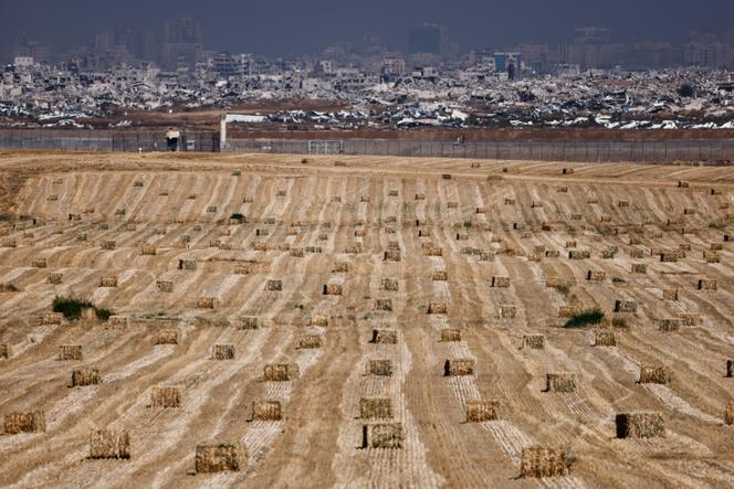 Un champ moissonné côté israélien et, de l’autre côté de la frontière, les ruines de la bande de Gaza, le 7 mai 2025.