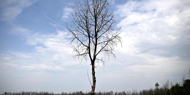 « Le gouvernement affaiblit méthodiquement les agences environnementales et sanitaires » : la tribune d’un collectif de 95 personnalités