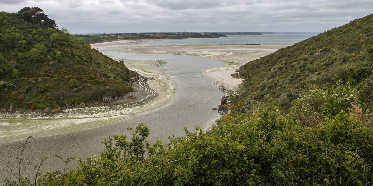 Algues vertes : l’Etat reconnu partiellement responsable de la mort d’un homme en Bretagne, une première et une  victoire  pour les associations