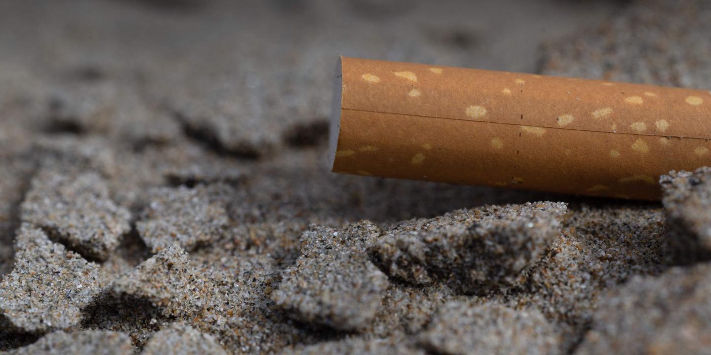 Les mégots de cigarette, révélateurs des usages et contradictions de la société française