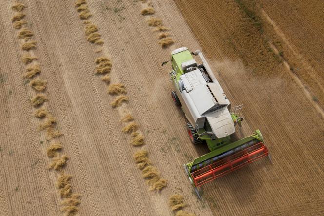 Une moissonneuse-batteuse à Angevillers, en Moselle, le 22 août 2022.