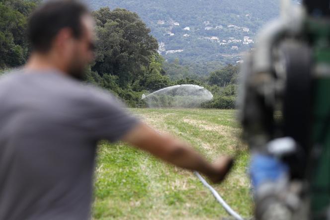 Mise en place d’un arroseur itinérant pour irriguer un champ près de Linguizzetta, en Corse, le 11 juin 2024.