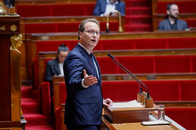 Le député et président du groupe parlementaire Renaissance Sylvain Maillard à l’Assemblée nationale, à Paris, le 3 juin 2025.