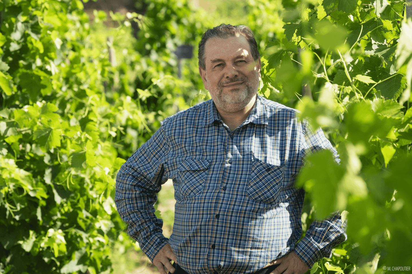 Michel Chapoutier, vigneron : « Il faut arrêter avec le snobisme »
