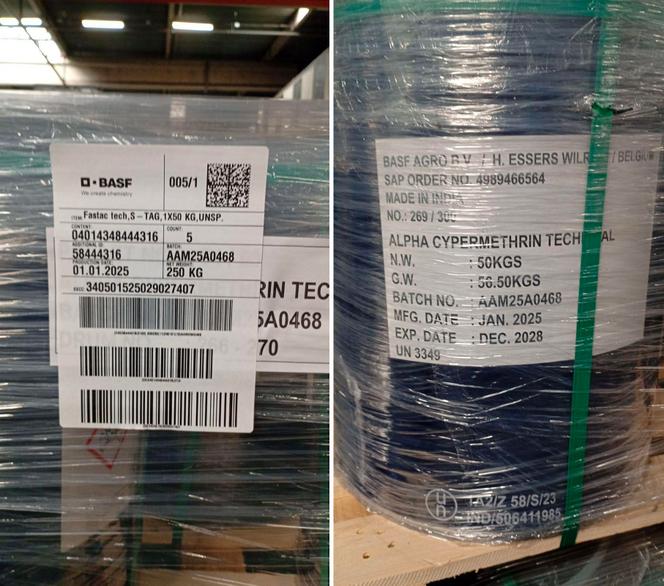 A gauche : une palette de 250 kg de Fastac. La date de fabrication indique janvier 2025. A droite : un fût de 50 kg de sa substance active, l’alpha-cyperméthrine. L’étiquette indique une fabrication en Inde, en janvier 2025. A l’usine BASF de Genay (Rhône), le 23 juin 2025.