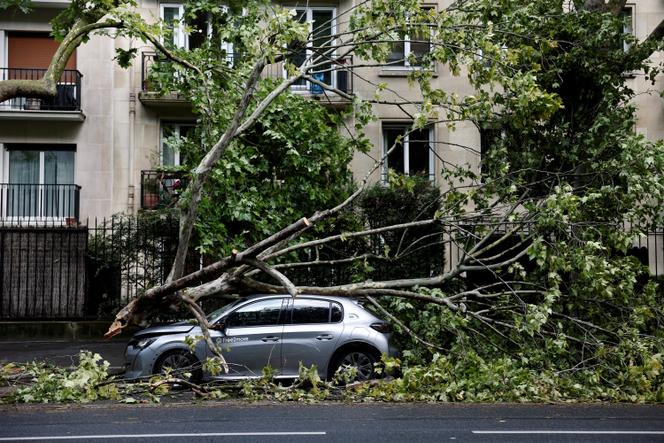  Branches d’arbre cassées sur une voiture au lendemain d’un violent orage, à Paris, le 26 juin 2025.