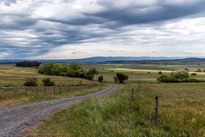Dans le Cantal, en juin 2022.