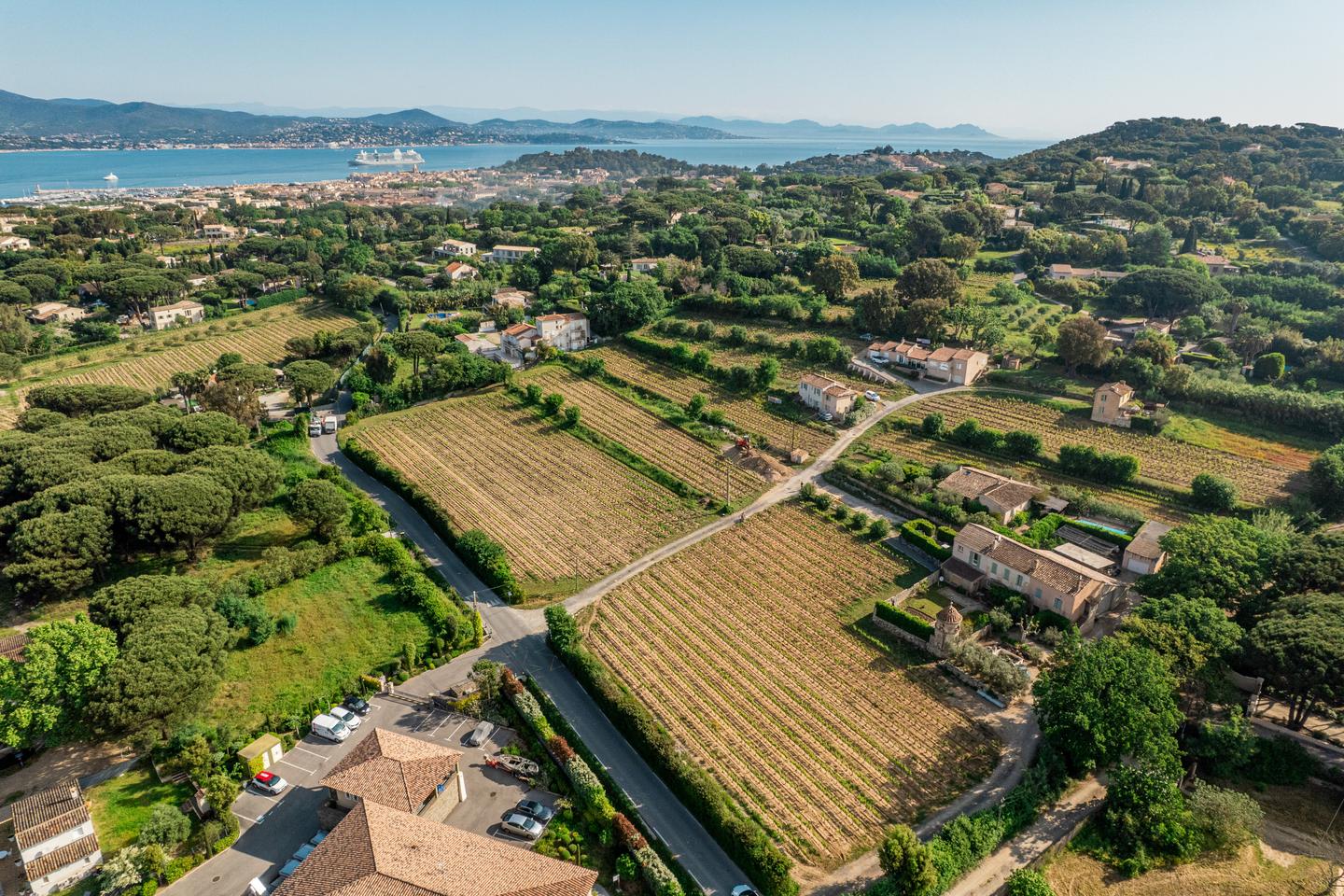 A Saint-Tropez, des vignes et des vins pas bling-bling