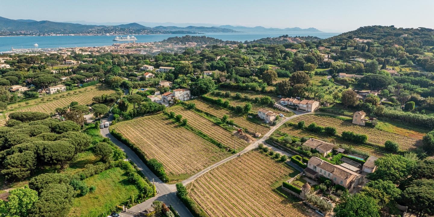 A Saint-Tropez, des vignes et des vins pas bling-bling