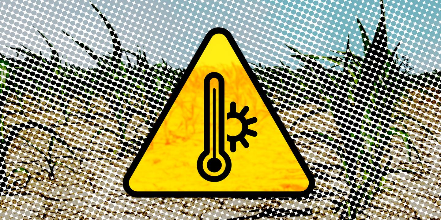 Canicule : vigilance jaune dans 13 départements de l'Ouest lundi, une première en mai