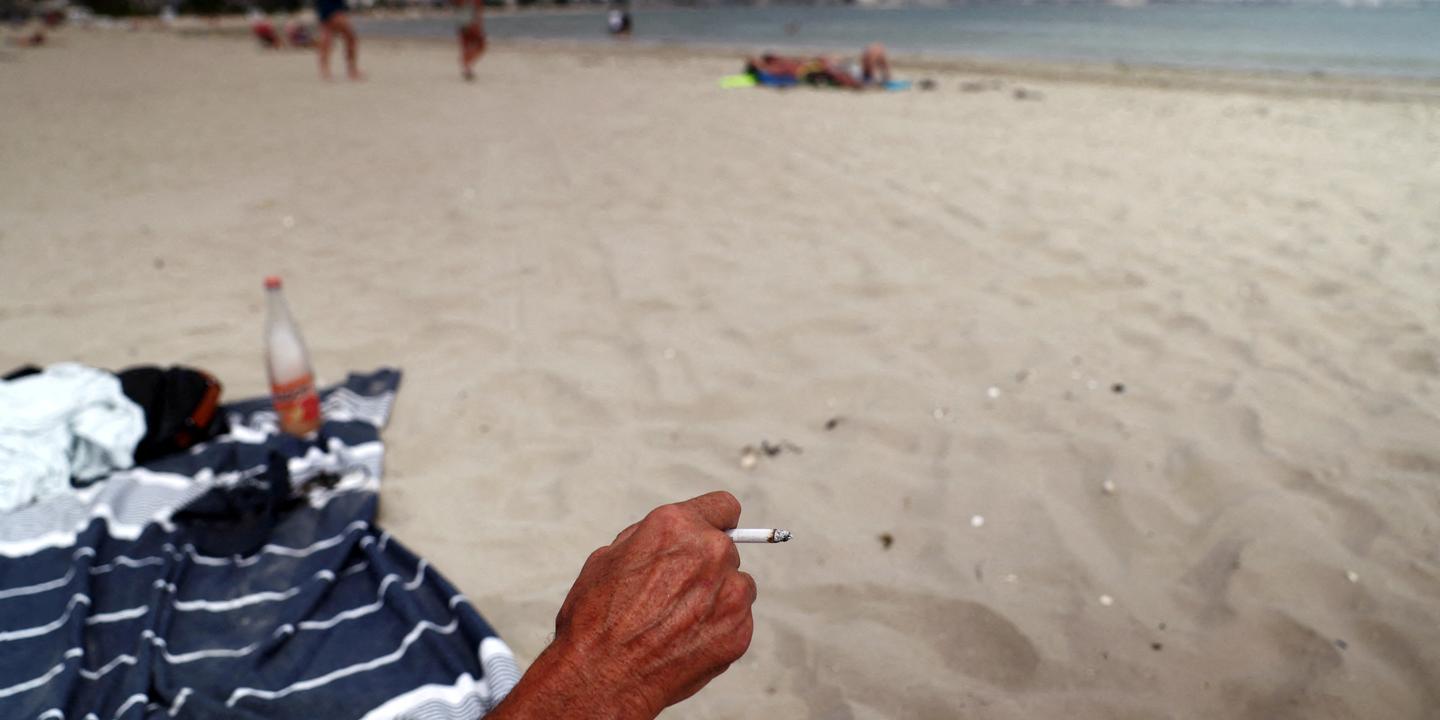 France's ban on public smoking takes effect Sunday